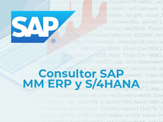 Curso de Consultor SAP MM ERP y S/4HANA