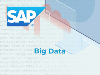 Curso especialista SAP BW. Analista Big Data