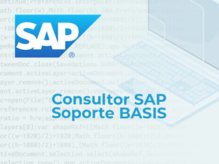 Consultor SAP soporte BASIS
